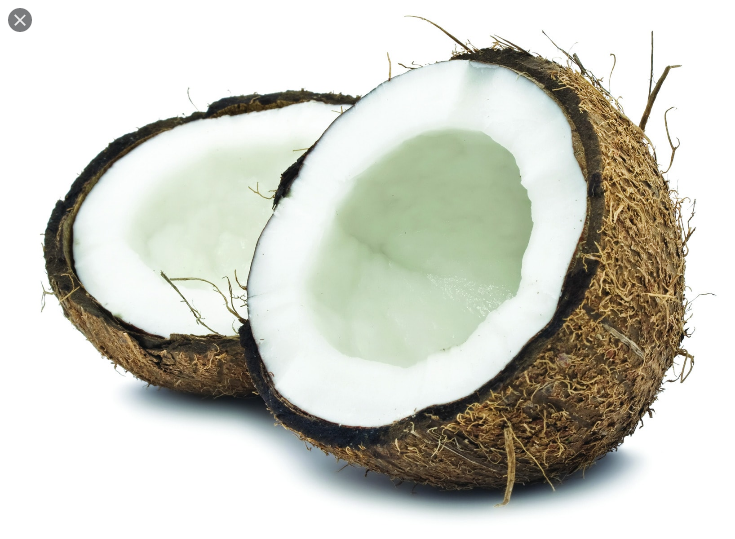  코코넛 (COCONUT) 효능 부작용 및 올바른 섭취 방법 알고 가세요.