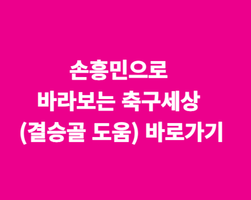 손흥민으로 바라보는 축구세상 (결승골 도움)