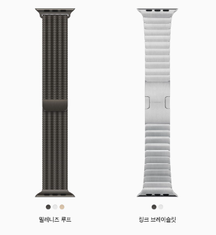애플워치SE 스테인리스 스틸 밴드
