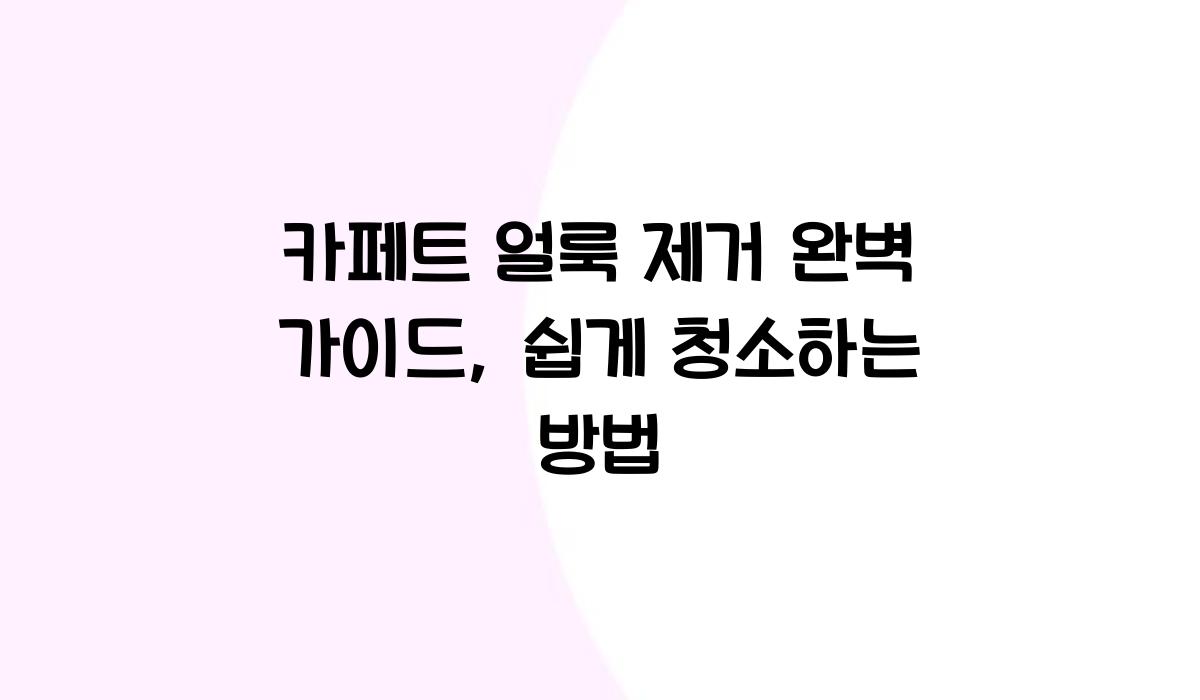 카페트 얼룩 제거