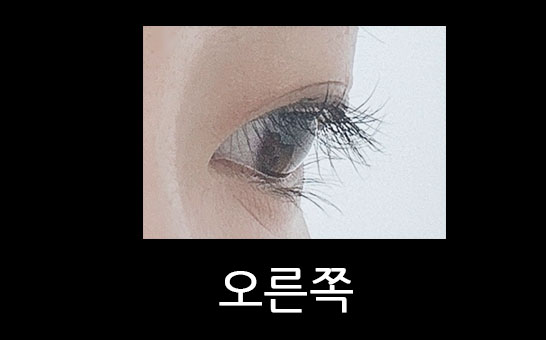  [서울] 증산역 부근 속눈썹 펌 리뷰/추천 "뷰티브로우"