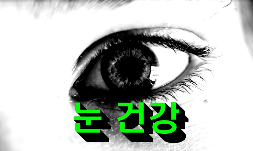  눈 건강과 안경