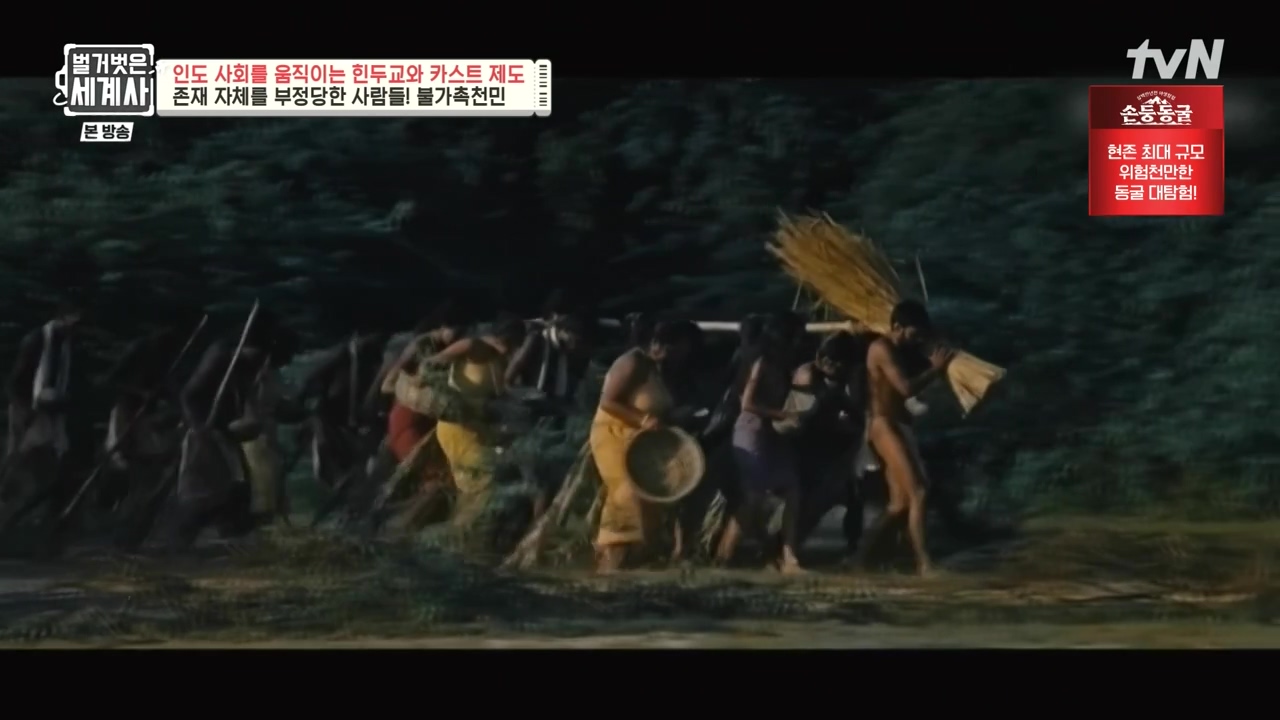 벌거벗은 세계사.E115.230906p-NEXT.mp4_20240406_174306.767.jpg