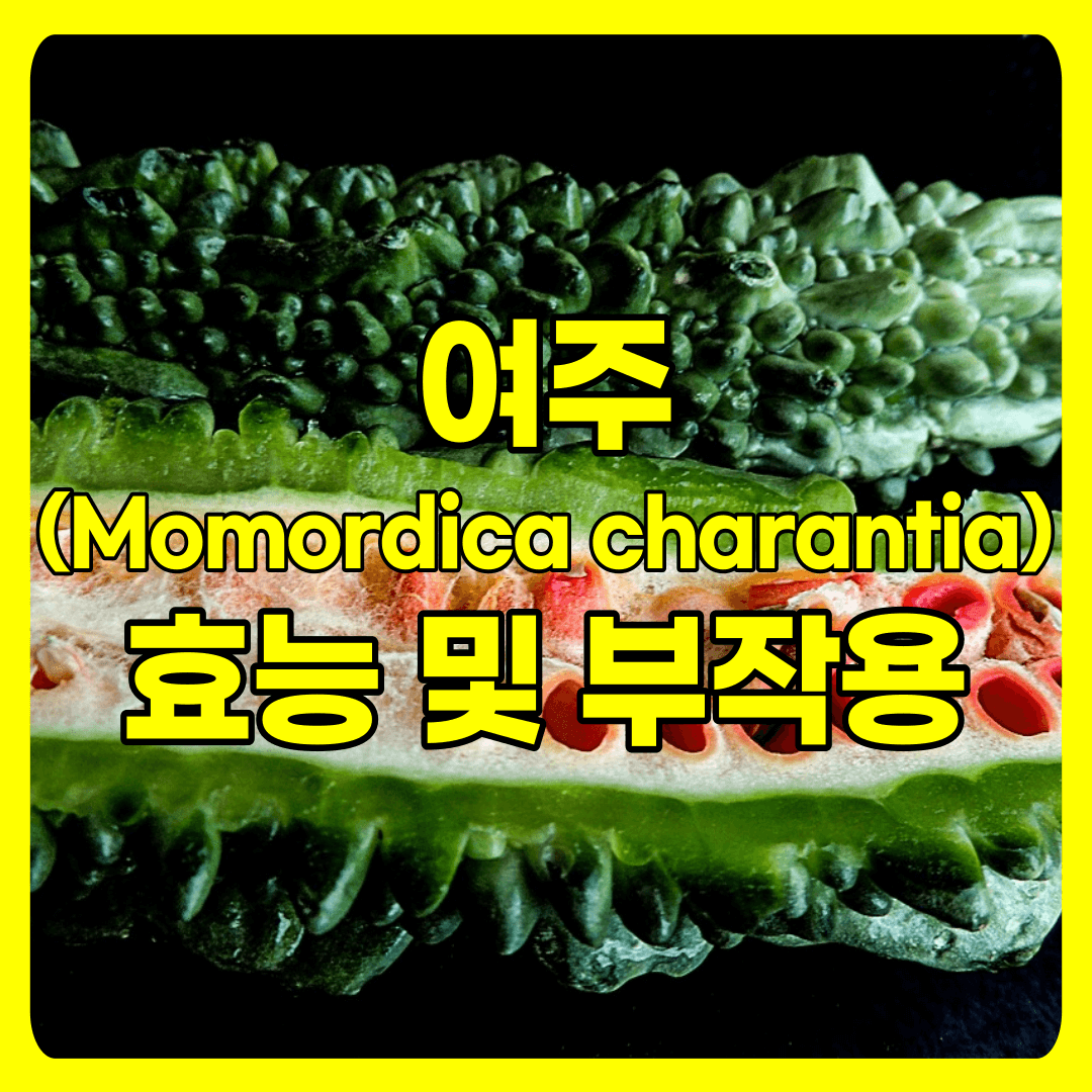  여주 Momordica charantia 효능 및 부작용