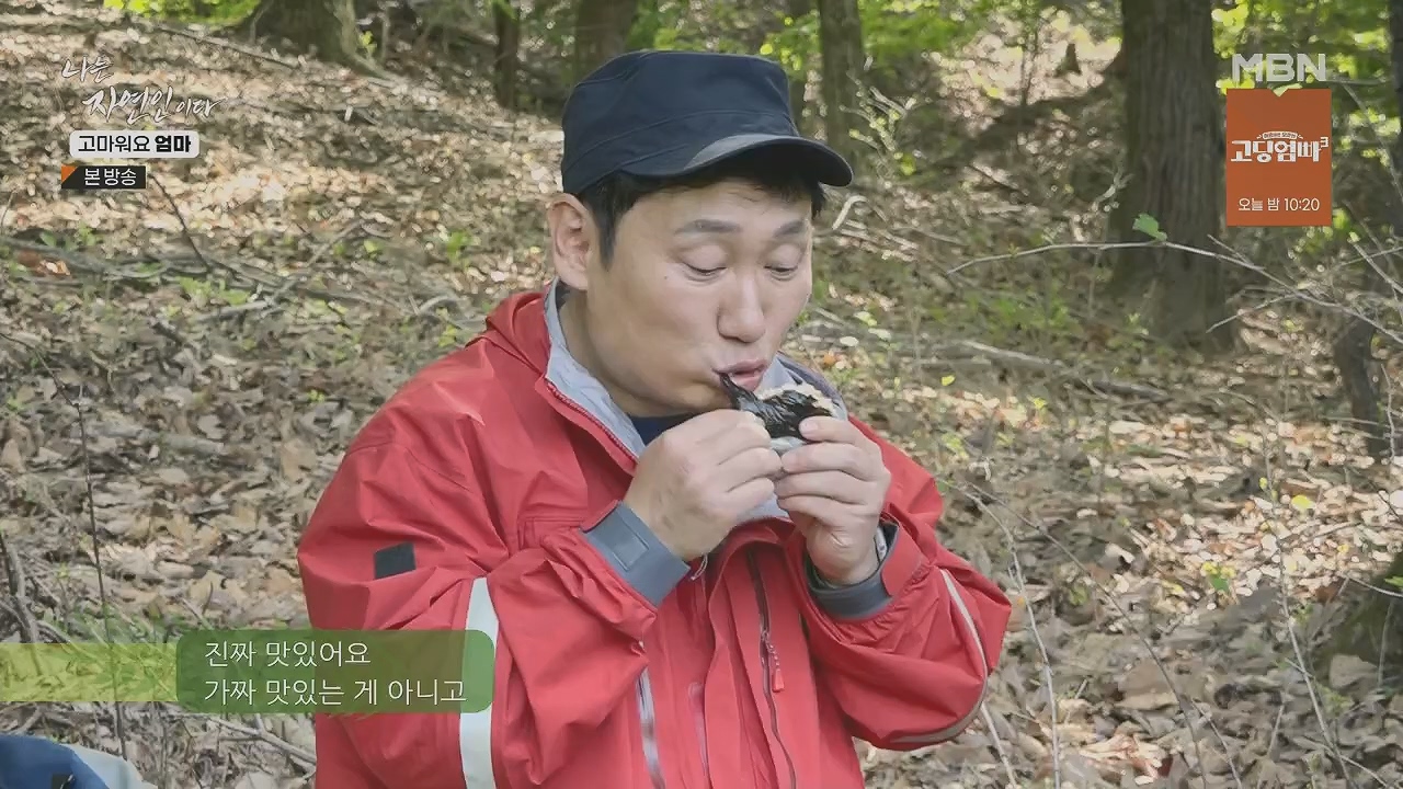 나는 자연인이다.E554.230518p.H264-F1RST.mp4_20230518_194512.920.jpg