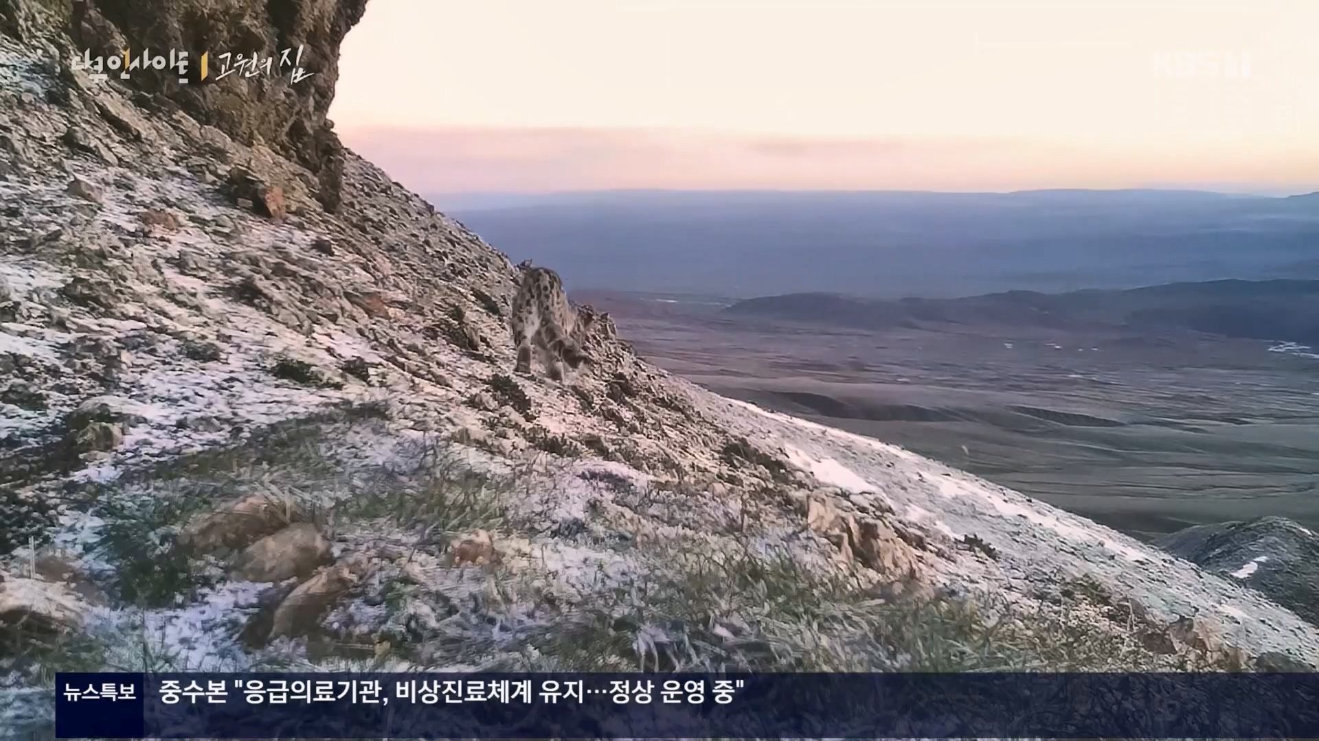 다큐 인사이트.E176.240328p.H264-F1RST.mp4_20240330_162628.684.jpg