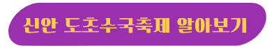 신안 도초수국축제 알아보기