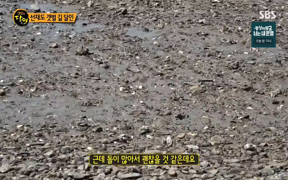 생활의 달인.E850.220705p-NEXT.mp4_20220705_202440.120.jpg