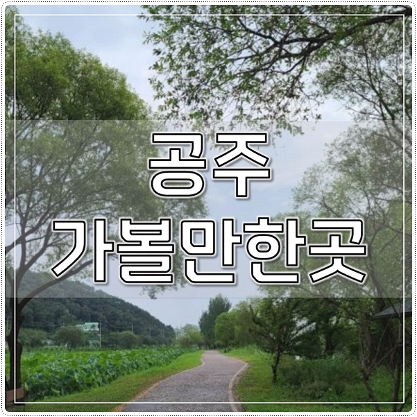  공주 가볼만한곳 2022~23년 최신 베스트