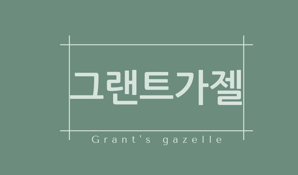 그랜트가젤(Grant's gazelle)