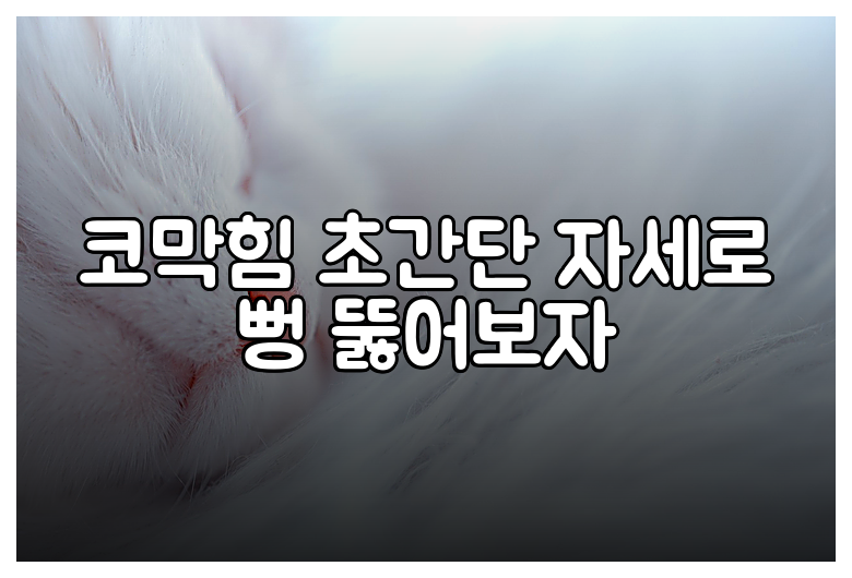 코막힘 초간단 자세로 뻥 뚫어보자