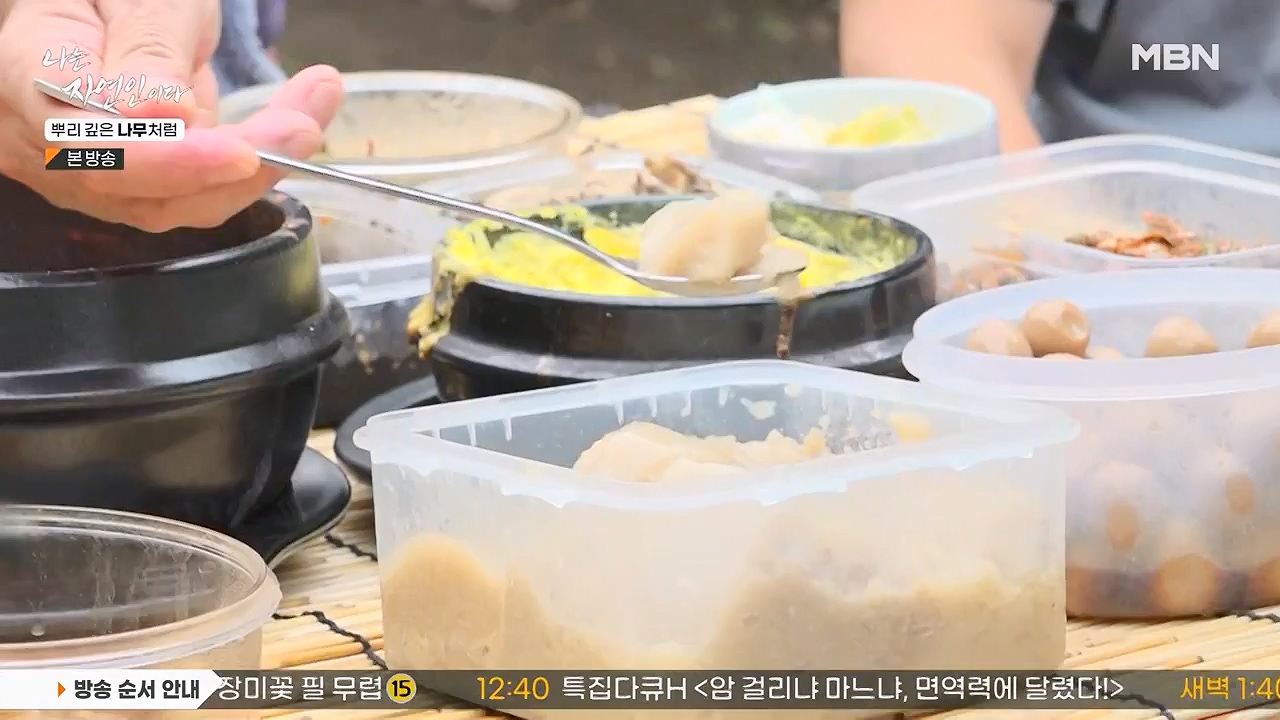 나는 자연인이다.E571.230914p-NEXT.mp4_20230914_202158.327.jpg