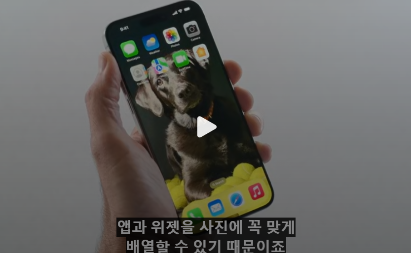 애플 이벤트