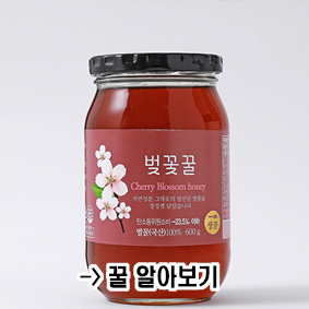 자연드림-벚꽃꿀