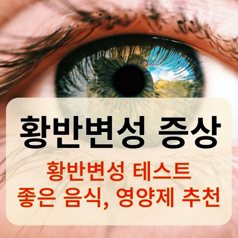 황반변성 증상