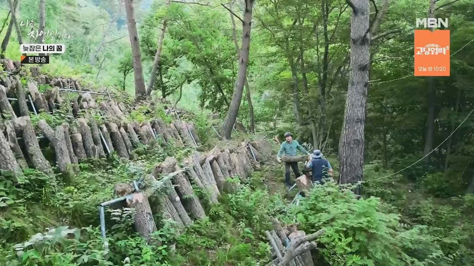 나는 자연인이다.E561.230705p.H264-F1RST.mp4_20230706_213045.340.jpg