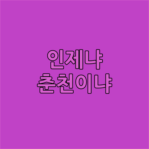 인제 스피디움 호텔 리조트 vs 더잭