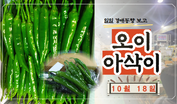  [경매사 일일보고] 10월 18일자 가락시장 오이아삭이 경매동향을 살펴보겠습니다!
