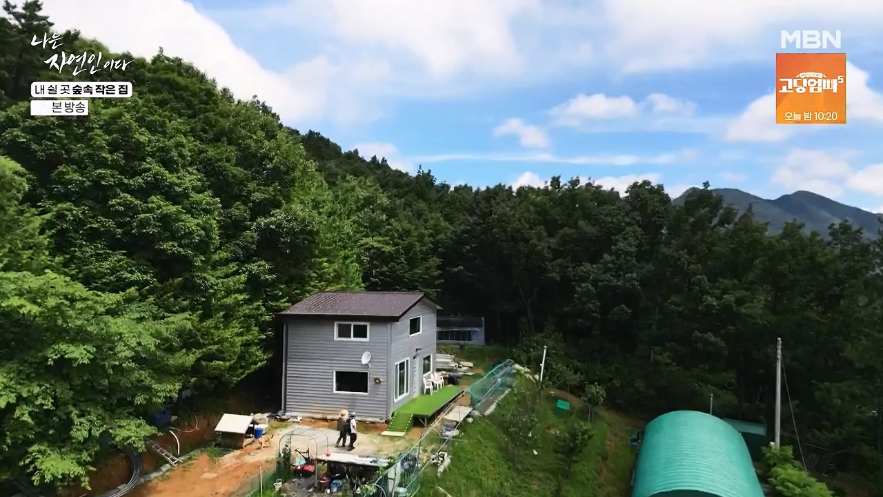 나는 자연인이다.E613.240711p-NEXT.mp4_20240711_195254.512.jpg