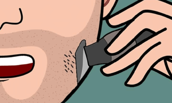  털을 밀면 털이 더 '두꺼워'질까??