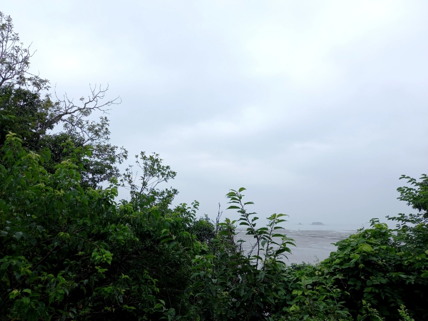 img.jpg