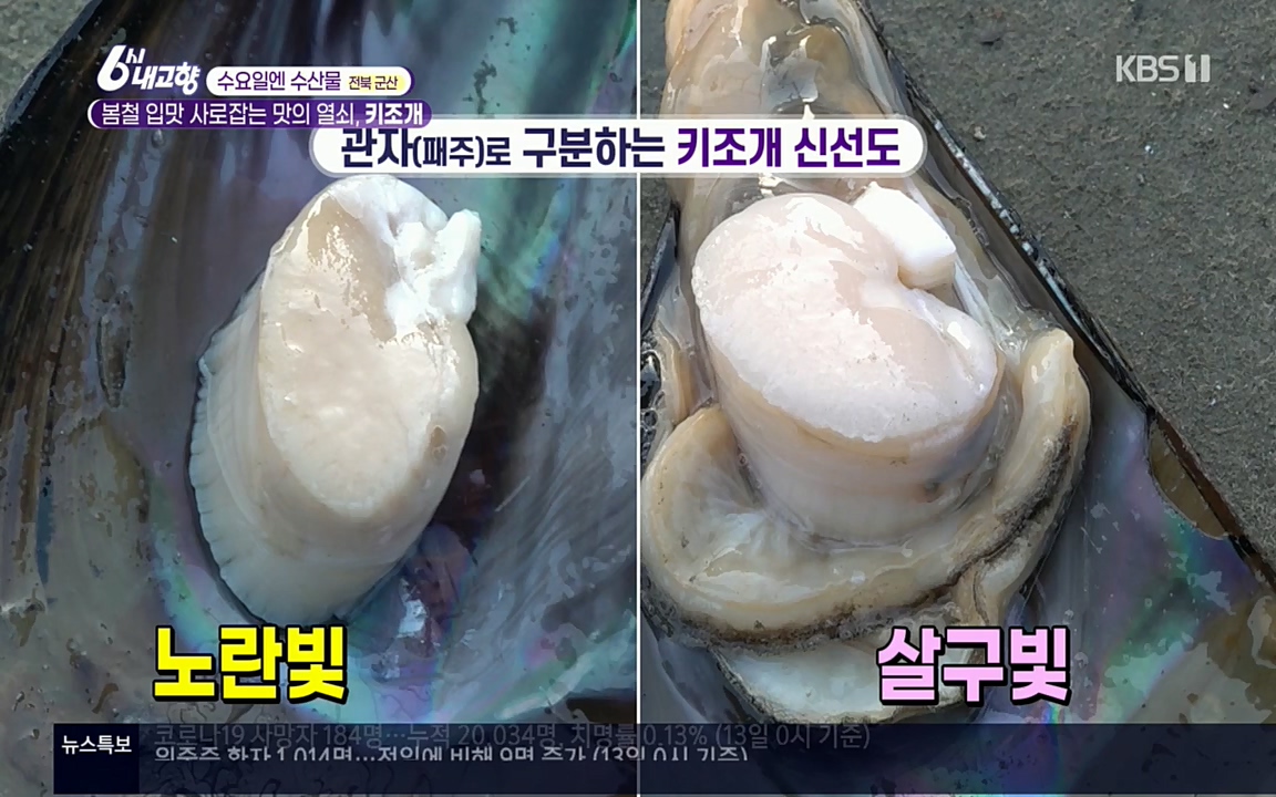6시 내고향.E7510.220414p.H264-F1RST.mp4_20220419_183257.834.jpg