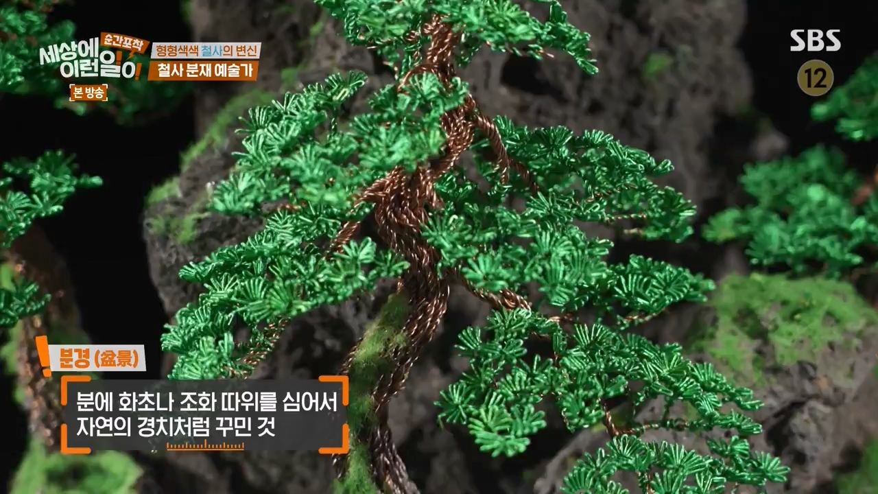 순간포착 세상에 이런일이.E1250.231029p-NEXT.mp4_20231029_153414.232.jpg