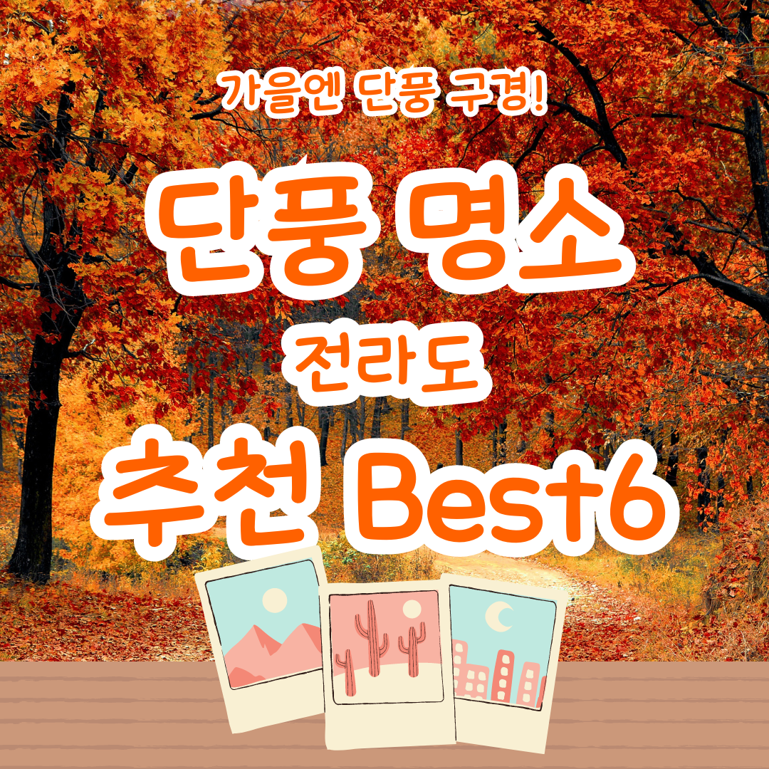 가을 단풍 여행 지도(5) - 전라도 - 순천만, 무등산, 메타세쿼이아, 광한루원, 내장산, 적상산 추천지 6곳!!1