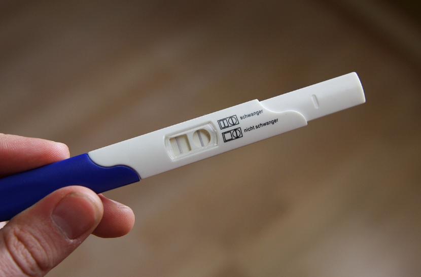 임신테스트기-가짜