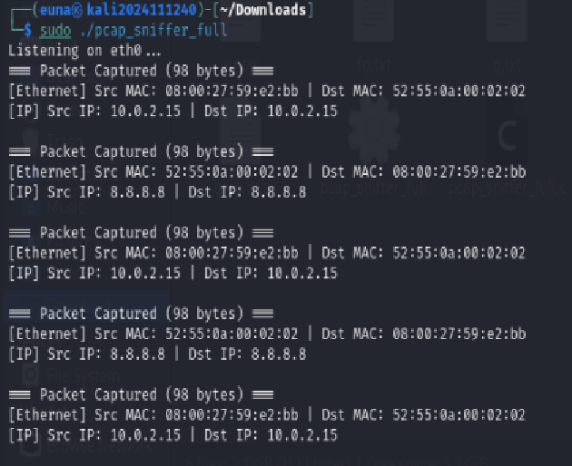 [Linux] Kali Linux에서 PCAP 기반 패킷 캡처 프로그램 실행하기