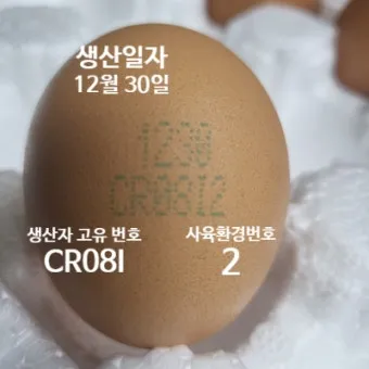 계란에 적힌 번호가 정확히 뭘까 계란 난각번호 4번 제대로 알고 먹고 있나요_10