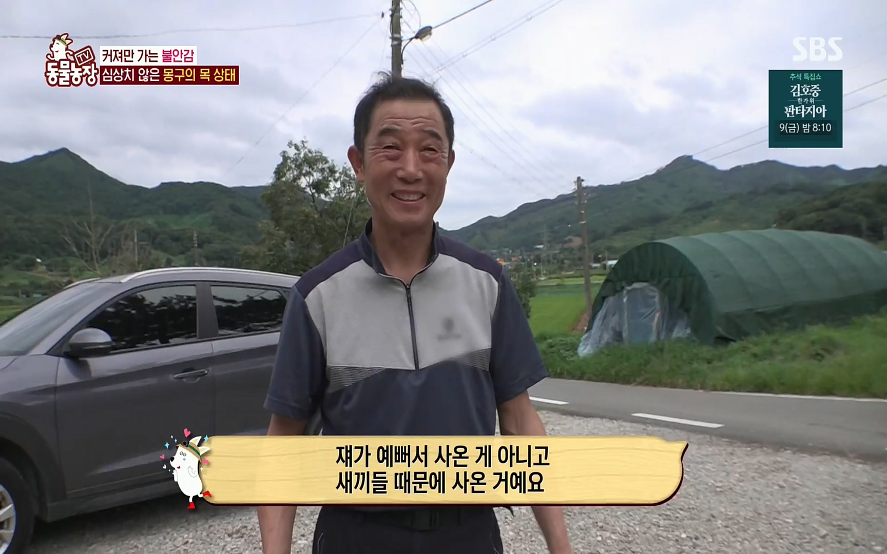 TV 동물농장.E1084.220828p.H264-F1RST.mp4_20220828_154059.494.jpg