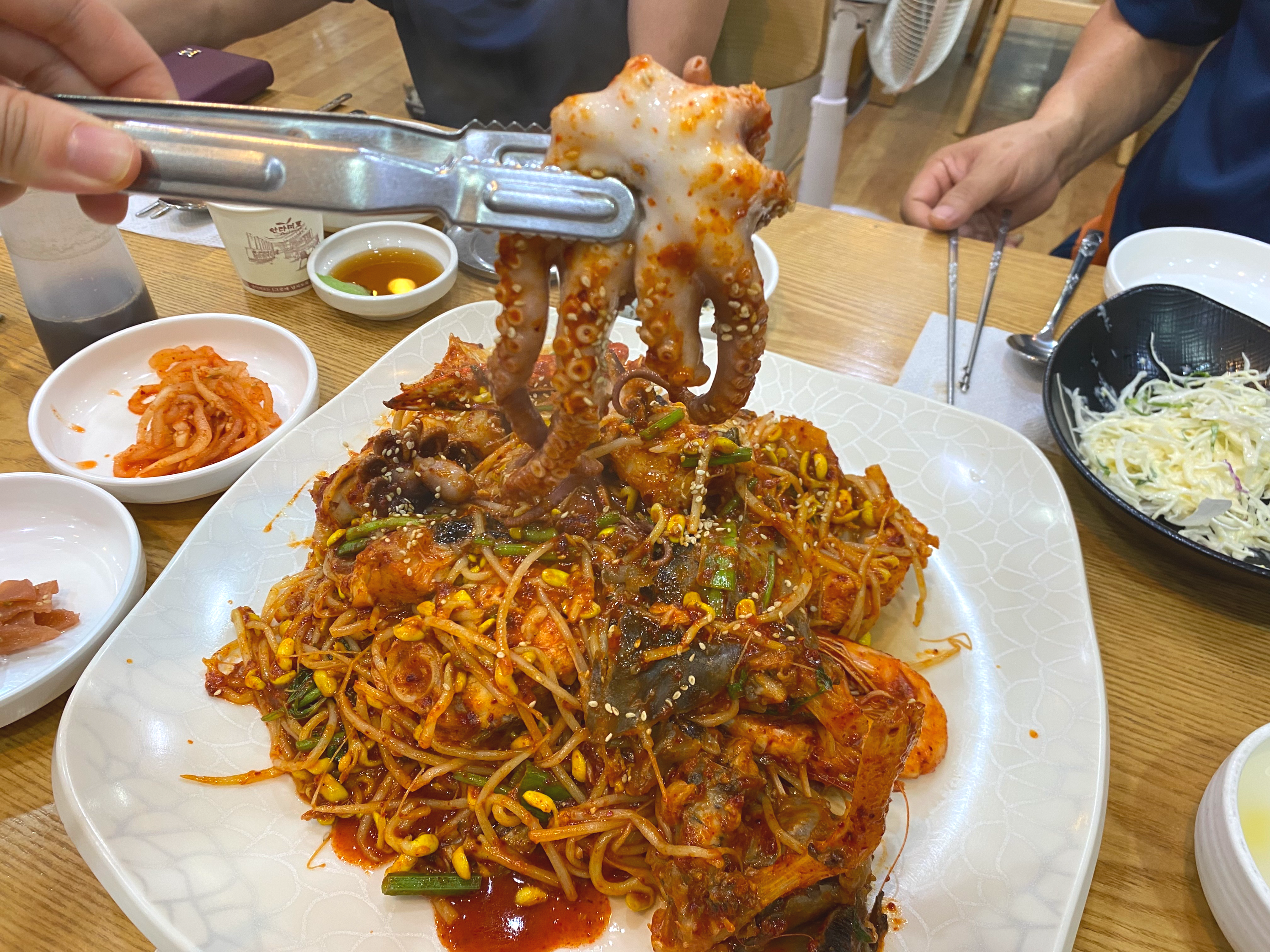 낙지한마리
