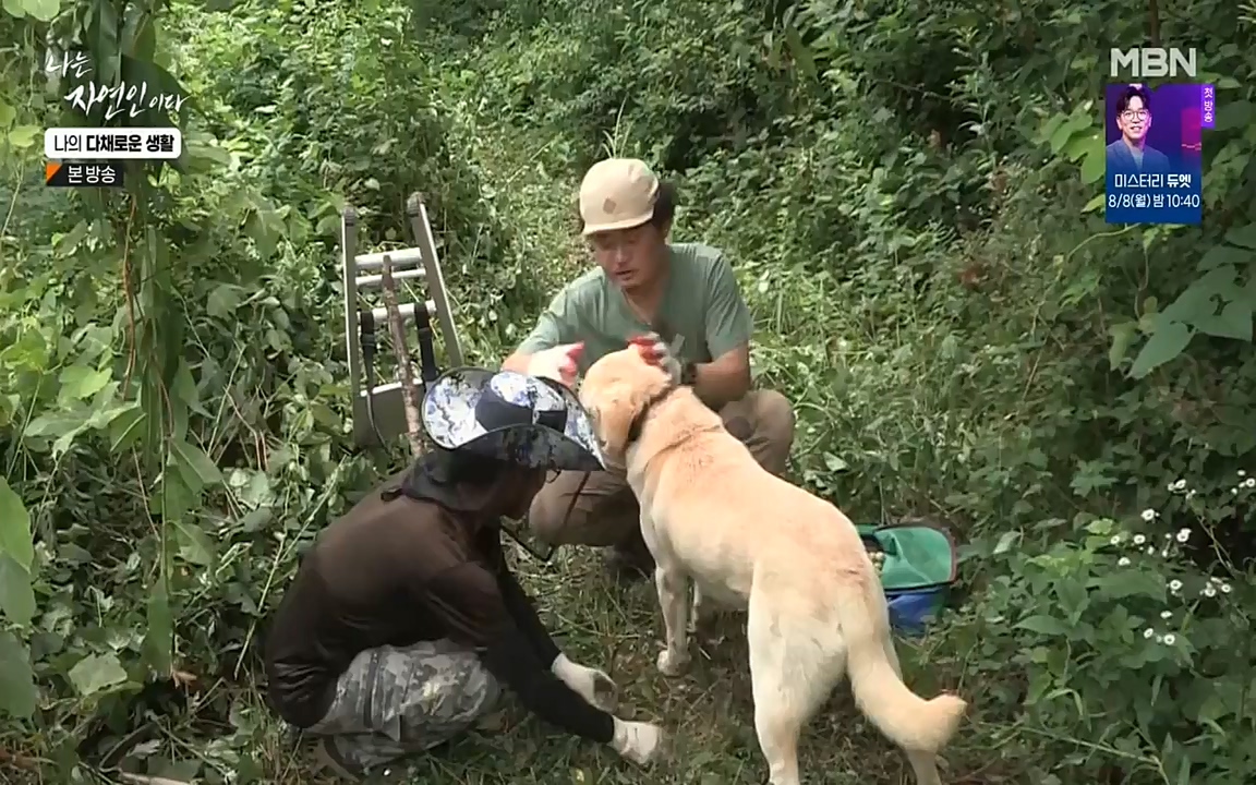 나는 자연인이다.E513.220804p-NEXT.mp4_20220804_202003.742.jpg