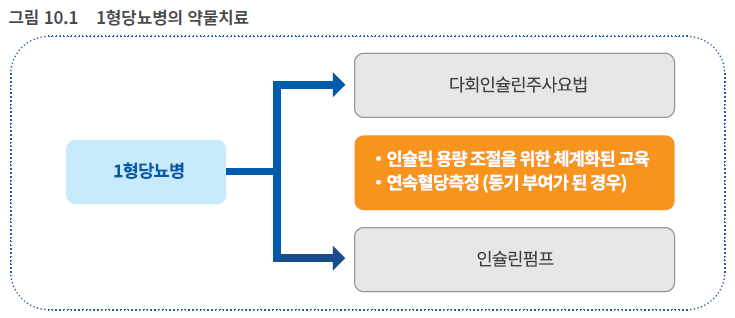 1형당뇨병의 약물치료