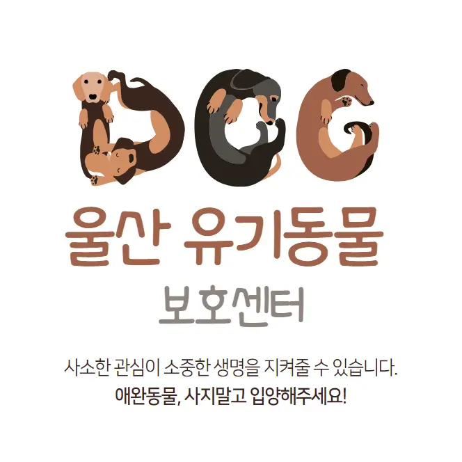  울산 반려동물보호센터 강아지 고양이 유기 동물 보호소 12곳