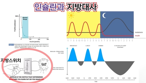 혈당 스파이크 예방 7가지 방법