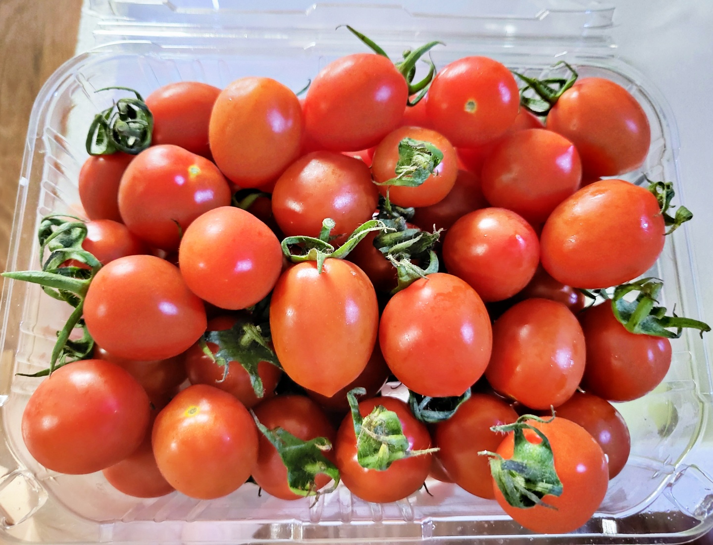 대추 방울 토마토 사진