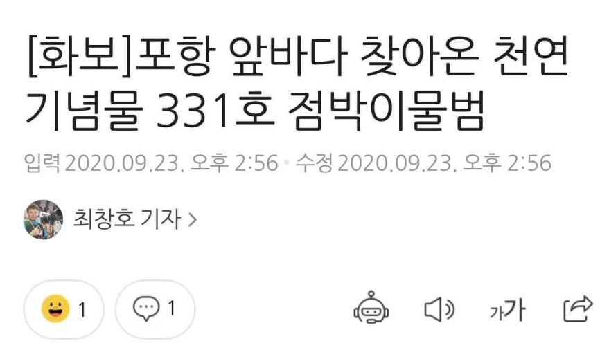  포항 앞바다에 찾아온 귀여운 손님