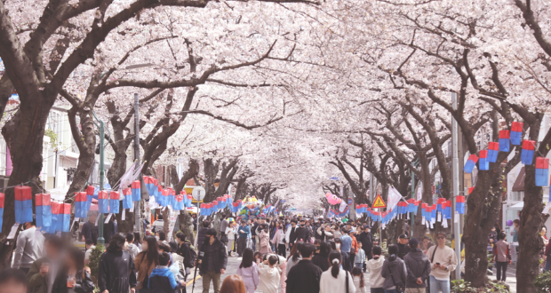 제주도 축제