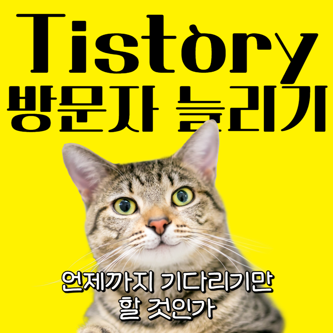  [수익형 블로그 만들기] 티스토리 방문자 유입 늘리기