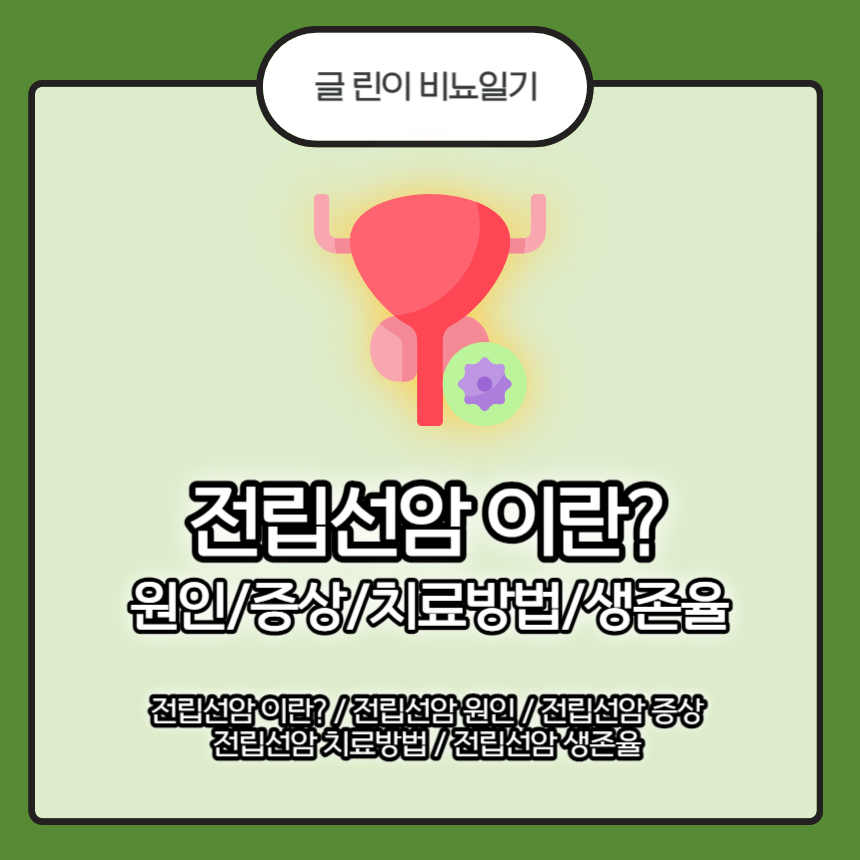  전립선암 이란? 원인/증상/치료방법/생존율