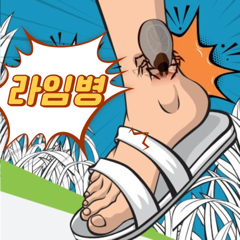 라임병-증상