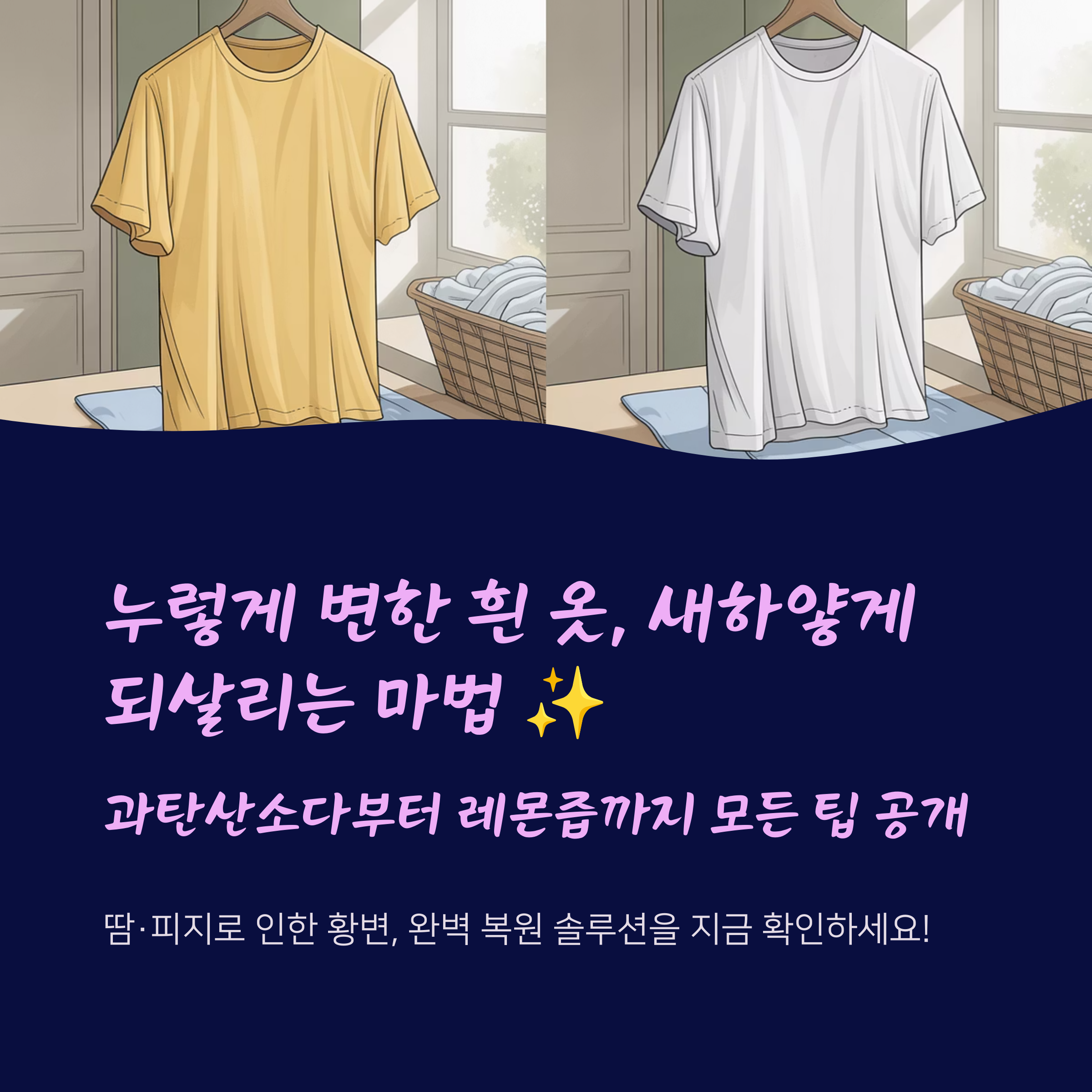 옷.집 이미지