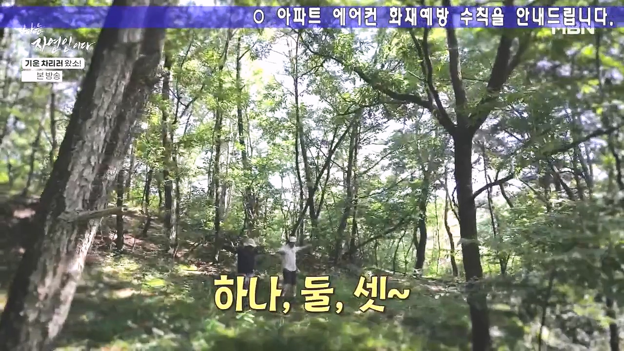 나는 자연인이다.E617.240808p-NEXT.mp4_20240808_195037.934.jpg