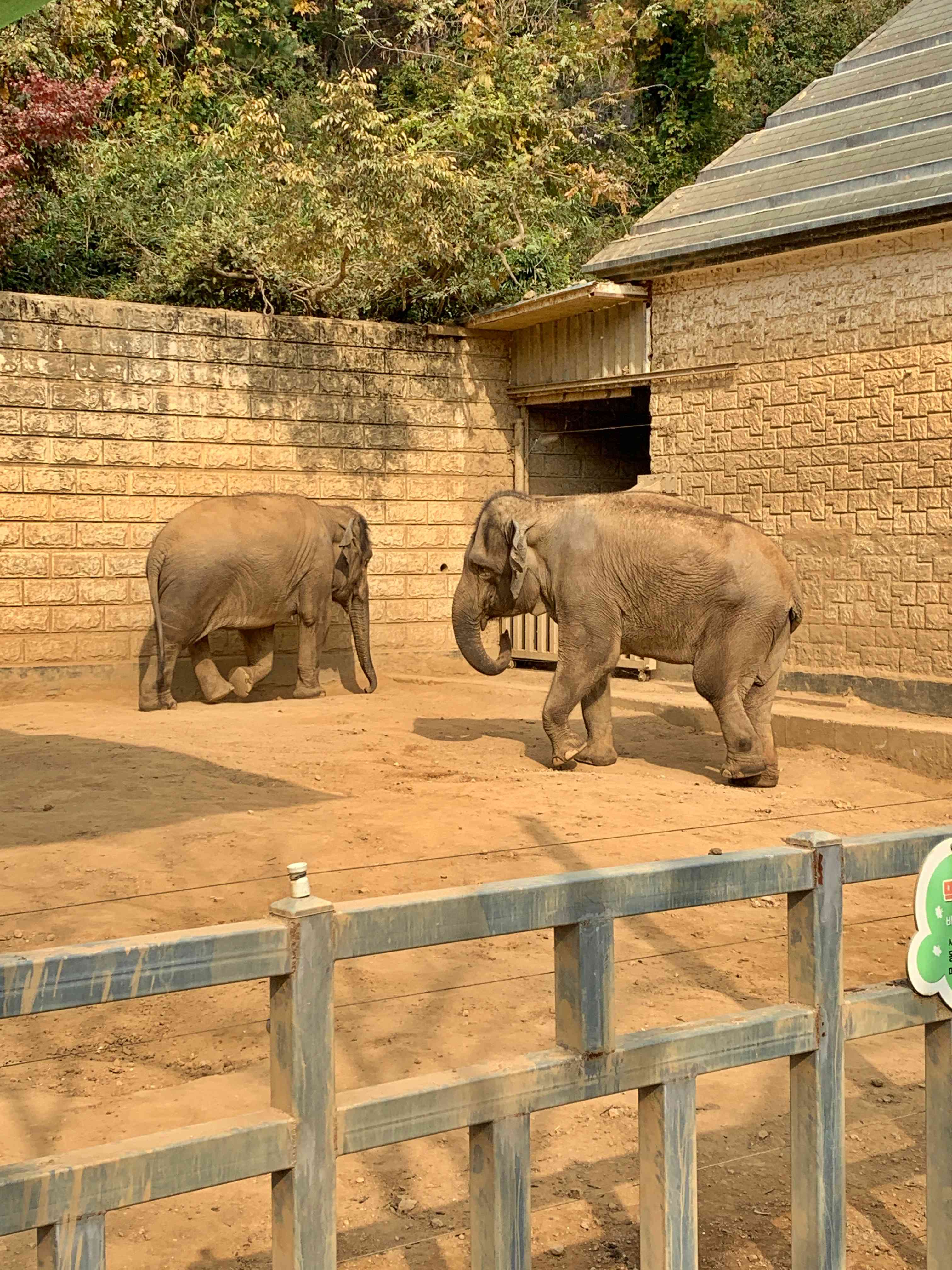 우치공원 코끼리