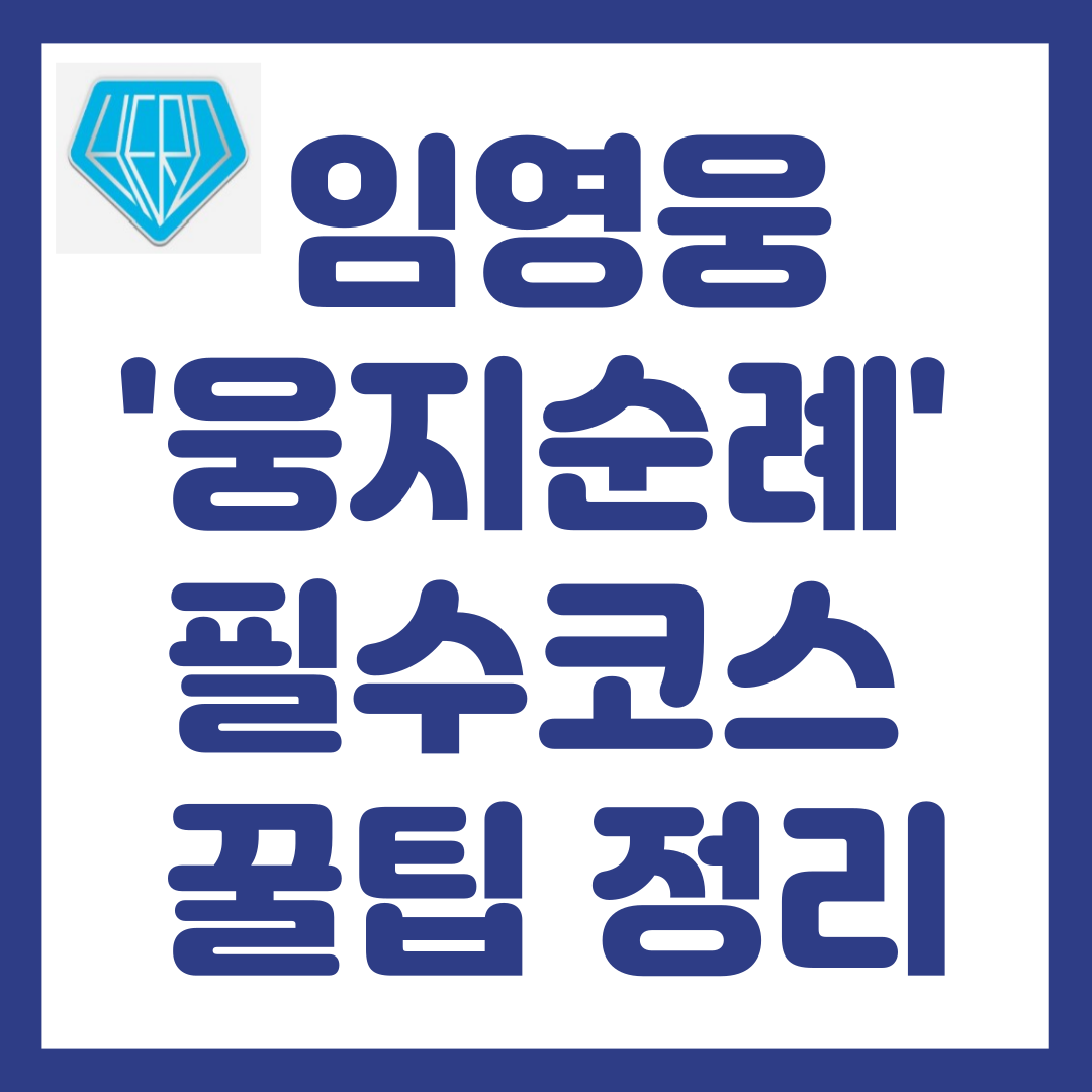 임영웅 웅지순례 필수코스와 꿀팁 총정리