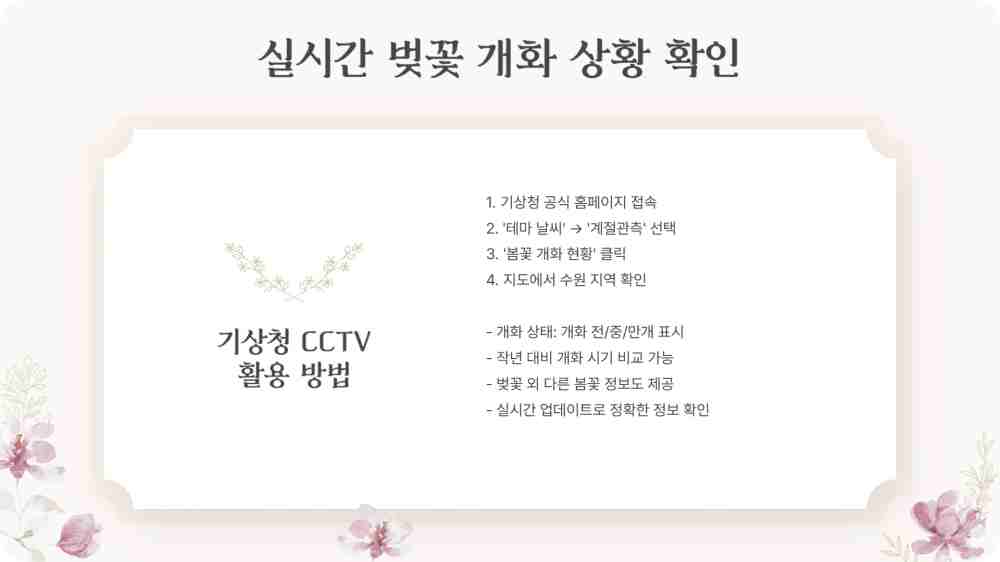 수원 경기도청 벚꽃 개화상황 CCTV 확인하기 주차장 정보