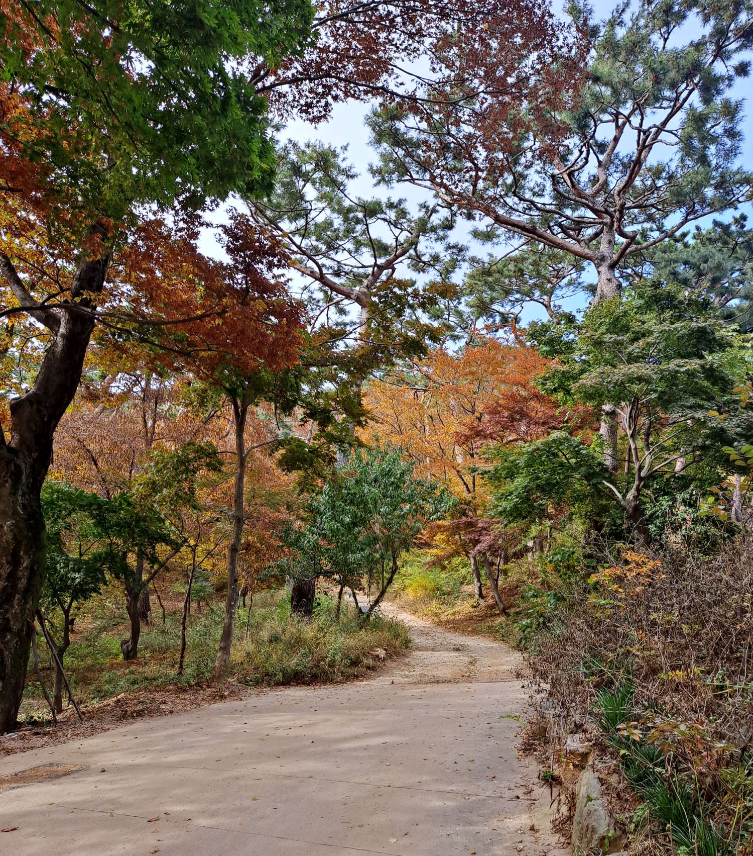 전등사의 산길