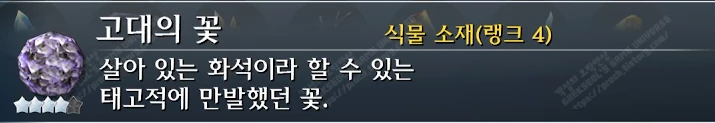 고대의 꽃 설명